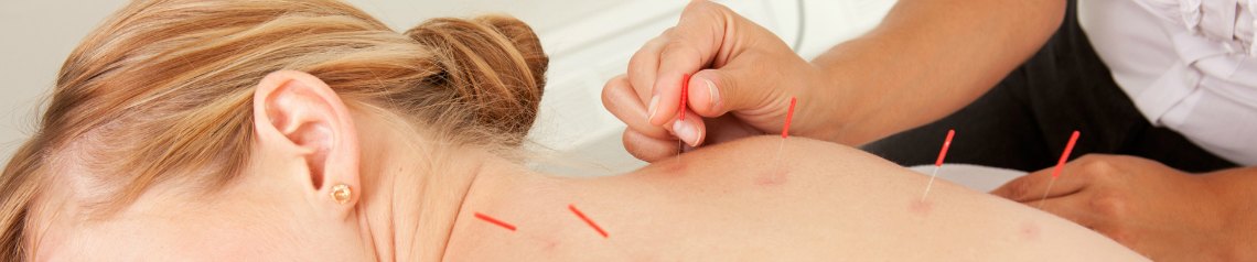 Foundation in Chinese Medicine and Acupuncture